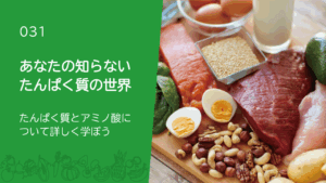 031：あなたの知らない たんぱく質の世界